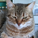 Carlos Zalazar 😎 🇦🇷