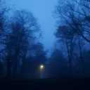 Аватар marian22831