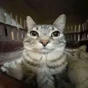 duke2_0 avatar