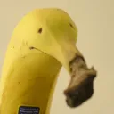 kaylend_