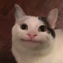 okay_145