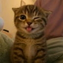 avatar Steuerbetrüger