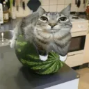 mateushvx_altt