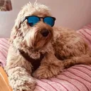 lucas_053350