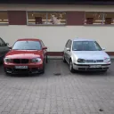 pan_dzik1234