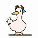 pfp