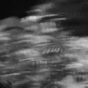 avatar 𝖘𝖊𝖗𝖗