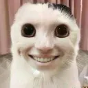 unknown240512 avatar