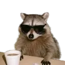 felioxz
