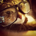 firedevs_cat's Avatar