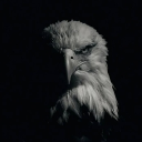 avatar !  M 4 R C O 𓂃 ❄