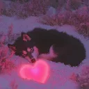 kittenwraith