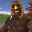 soniccc06