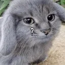 Аватар tikhon24052013