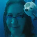 silverdolphin01