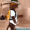 pekazxz