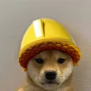 bobtheshoplifter