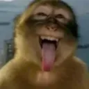 5e0y