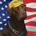 dog_for_america