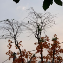 avatar 🦐 Sú iuuuuu