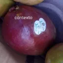 elpapudilan_06384 avatar