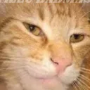 yashisbot.7 avatar