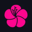 blossomtheme