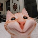 avatar Meow | Asean tank game