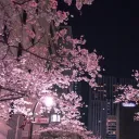 _vyxp