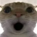 darktenek