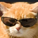 meow2011meowmeow avatar