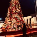 avatar ִ ࣪ 𝘴⋆ ִ ࣪