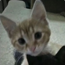 avatar ִ ࣪ 𝘴⭒ ִ ࣪