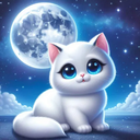 Chat with Luna | Shapes, Inc