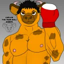 carlostheyeenbull