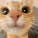 whydoyoureadmyuser