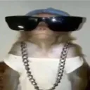 .illegal.monkey.
