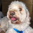 featuredlucy