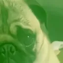 phzvezda_3000 avatar