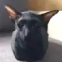 olafgoat