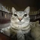 x_xnose_que_ponerx_x avatar