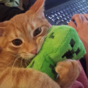 avatar klx el mono 🐒🦧