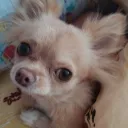 Аватар lev077924