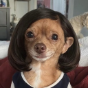 avatar vershy 🦢✧˚