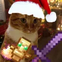 hazeeoffical