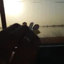 _swxrd