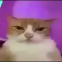 Avatar Właściciela