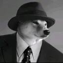 dasteerxs avatar