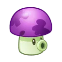 fexmor_