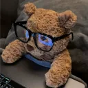 ideveloper_teddy